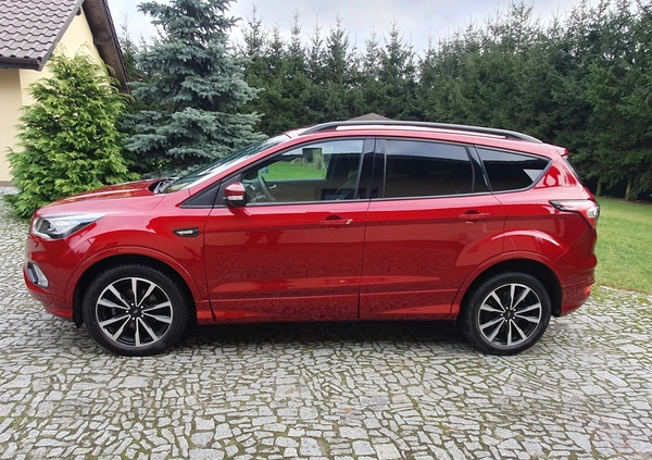 Ford Kuga cena 94500 przebieg: 31255, rok produkcji 2019 z Szamotuły małe 232